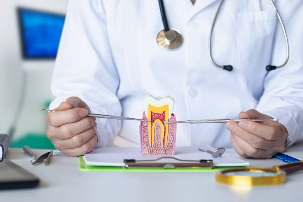 Best Emergency Treatment for Toothache in Brookmont, MD